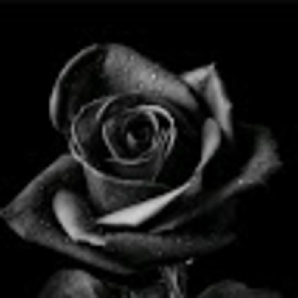 Meet your Posher, Black